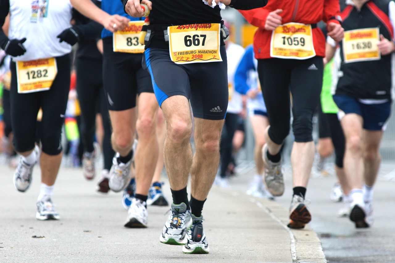 polmaraton3.jpg