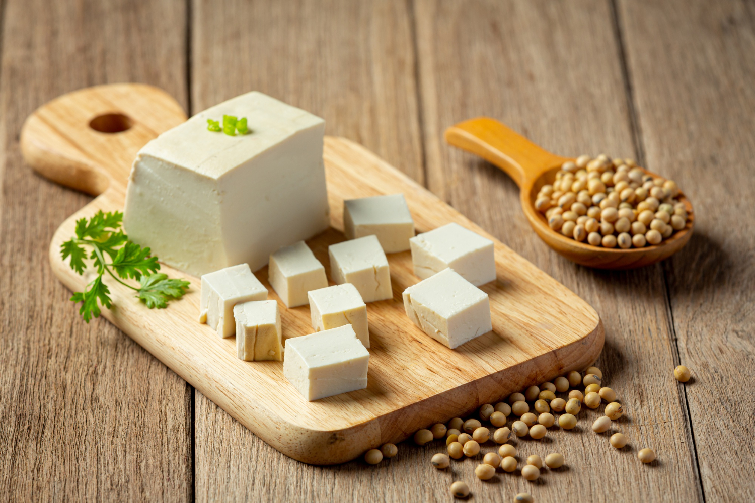 recepty z tofu.jpg