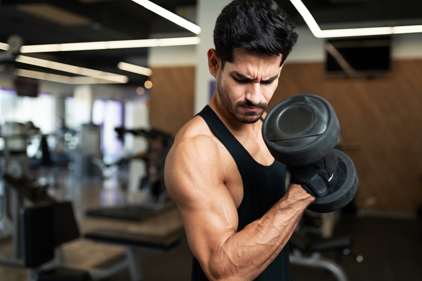 biceps.jpeg